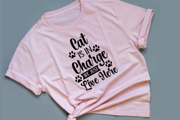Cat is in Charge We Just Live Here Embroidery Review